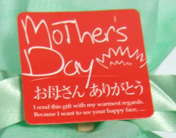 ��̓��̃M�t�g�